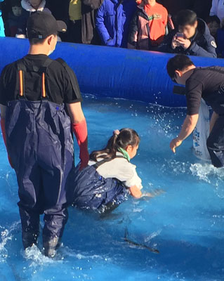 대구수산물축제