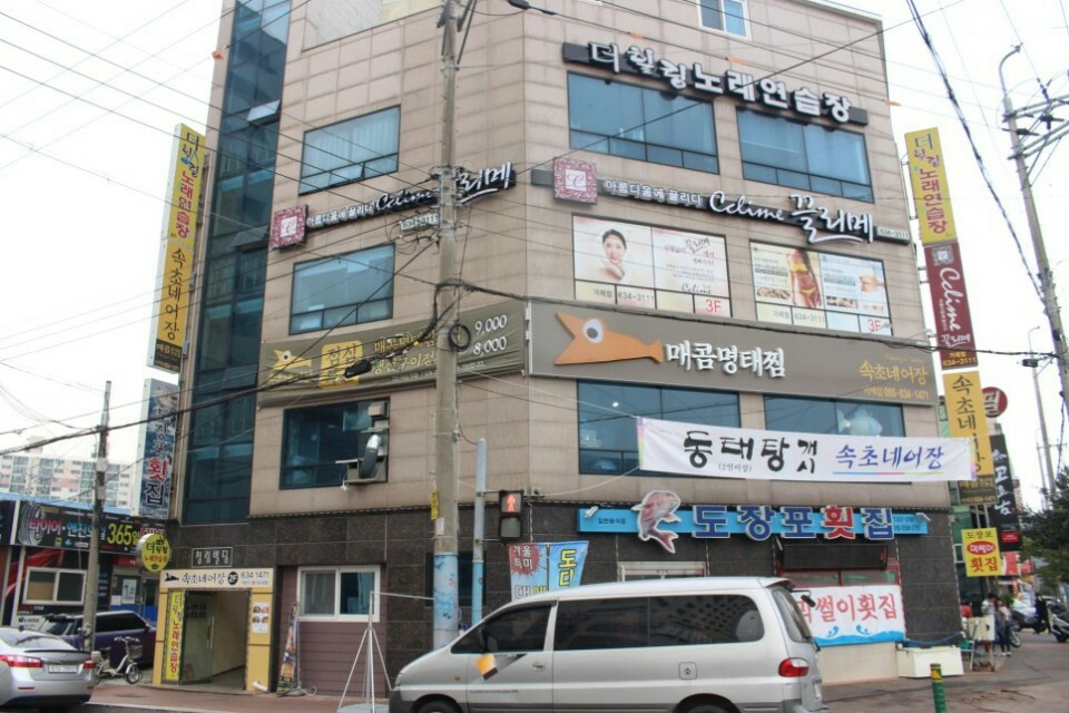 속초네어장