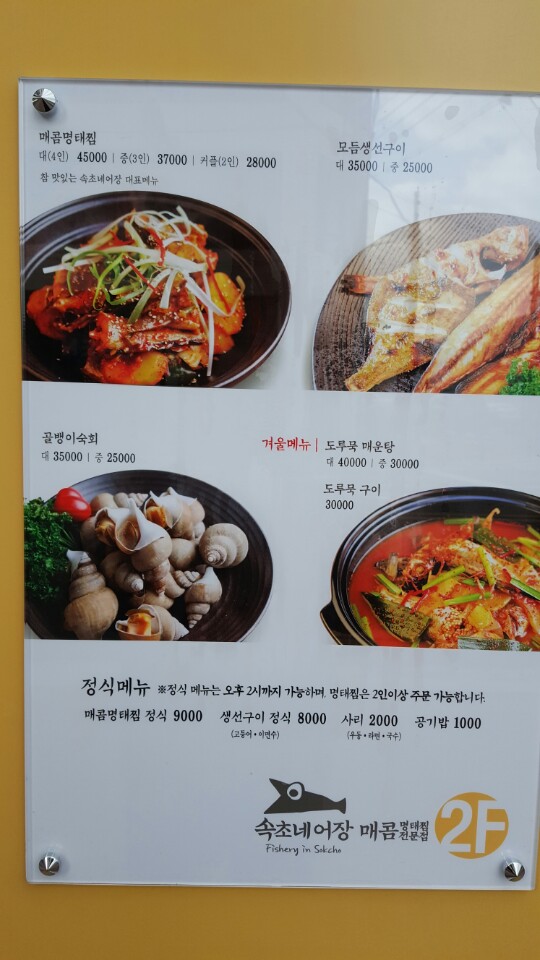 속초네어장