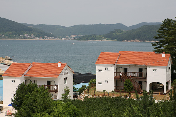 파인트리펜션