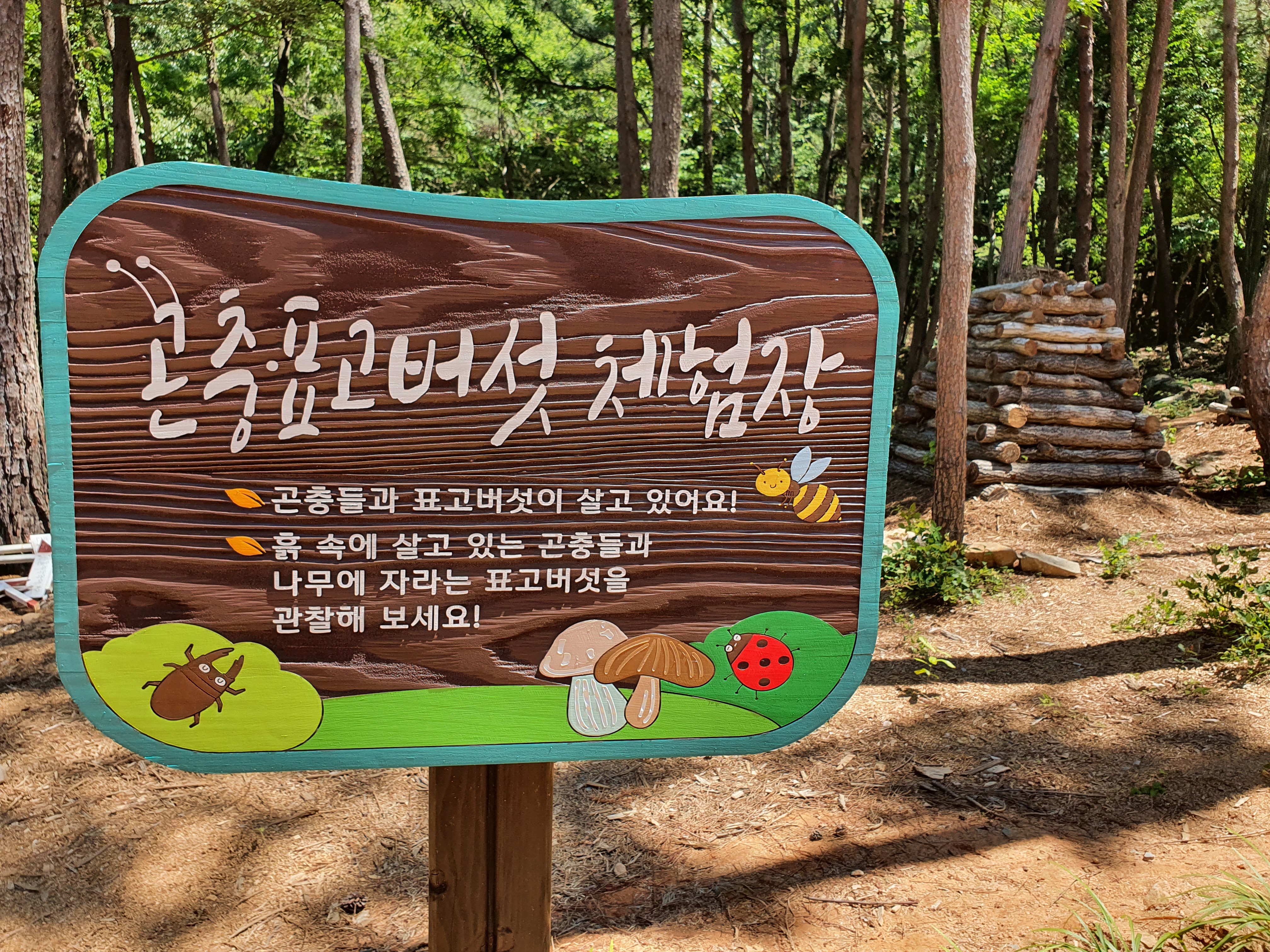 숲소리공원 곤충표고버섯체험장