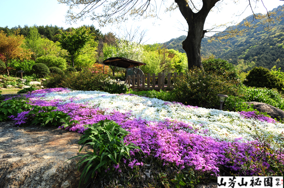 산방산 비원의 봄풍경