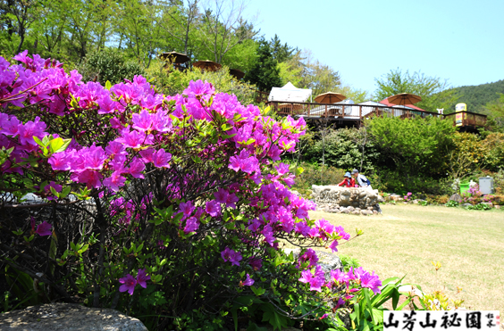 산방산 비원의 봄풍경