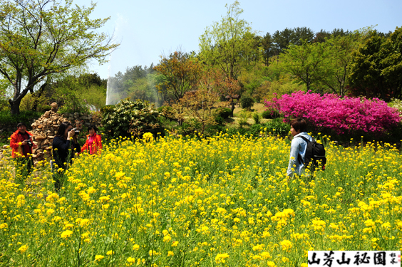 산방산 비원의 봄풍경