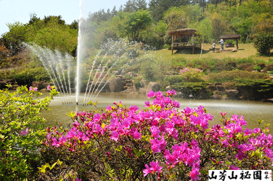 산방산 비원의 봄풍경