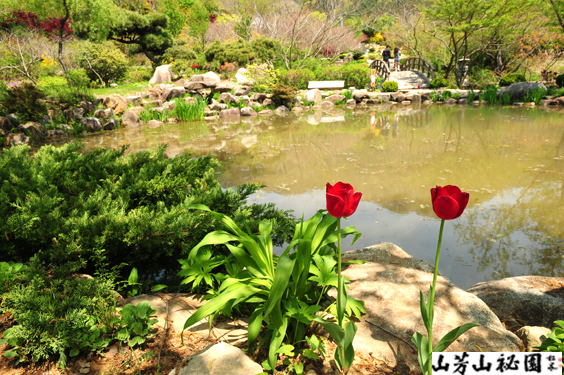 산방산 비원의 봄풍경