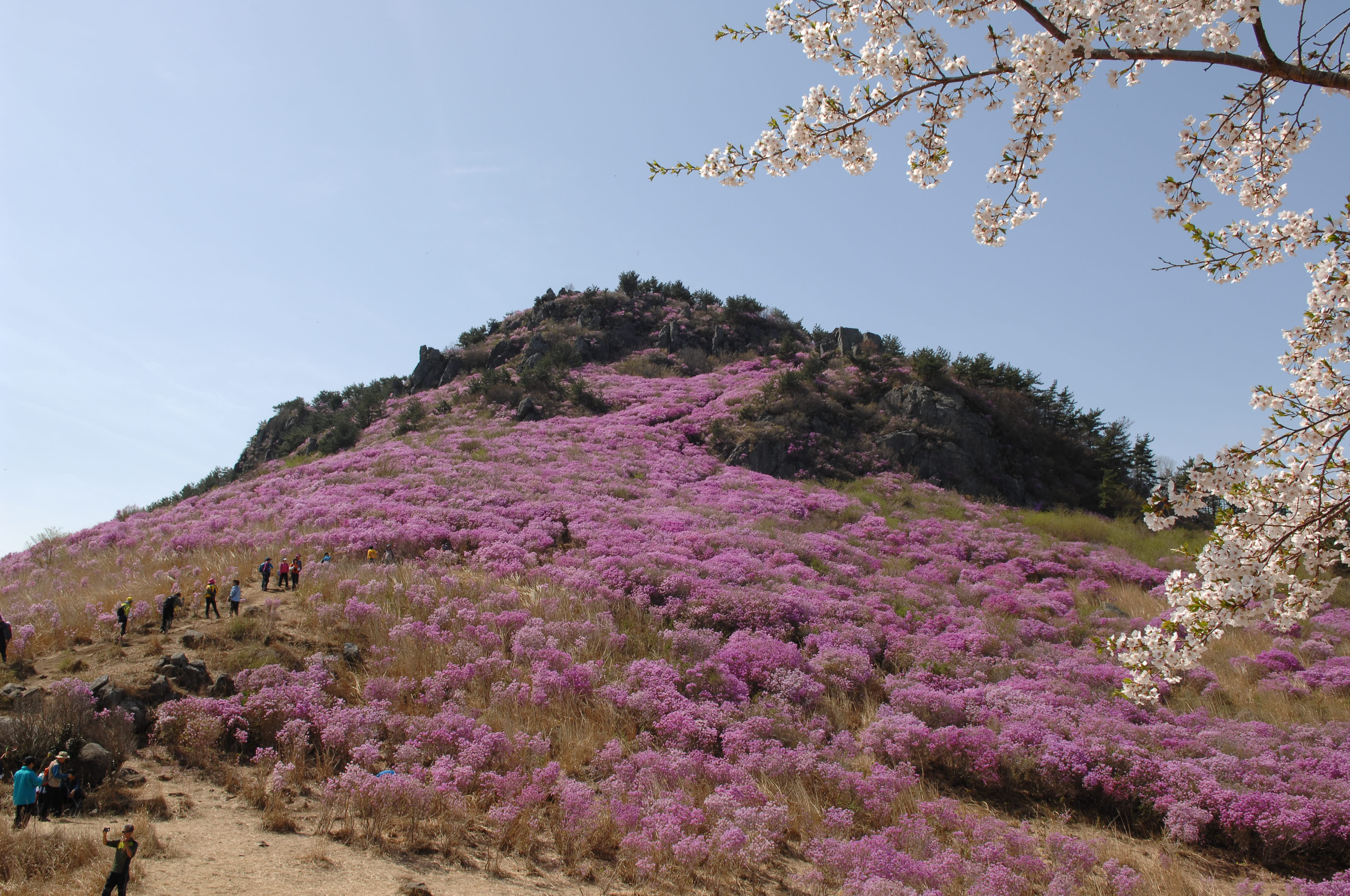 보도자료 상세보기 | 세계로 가는 평화의 도시 거제시