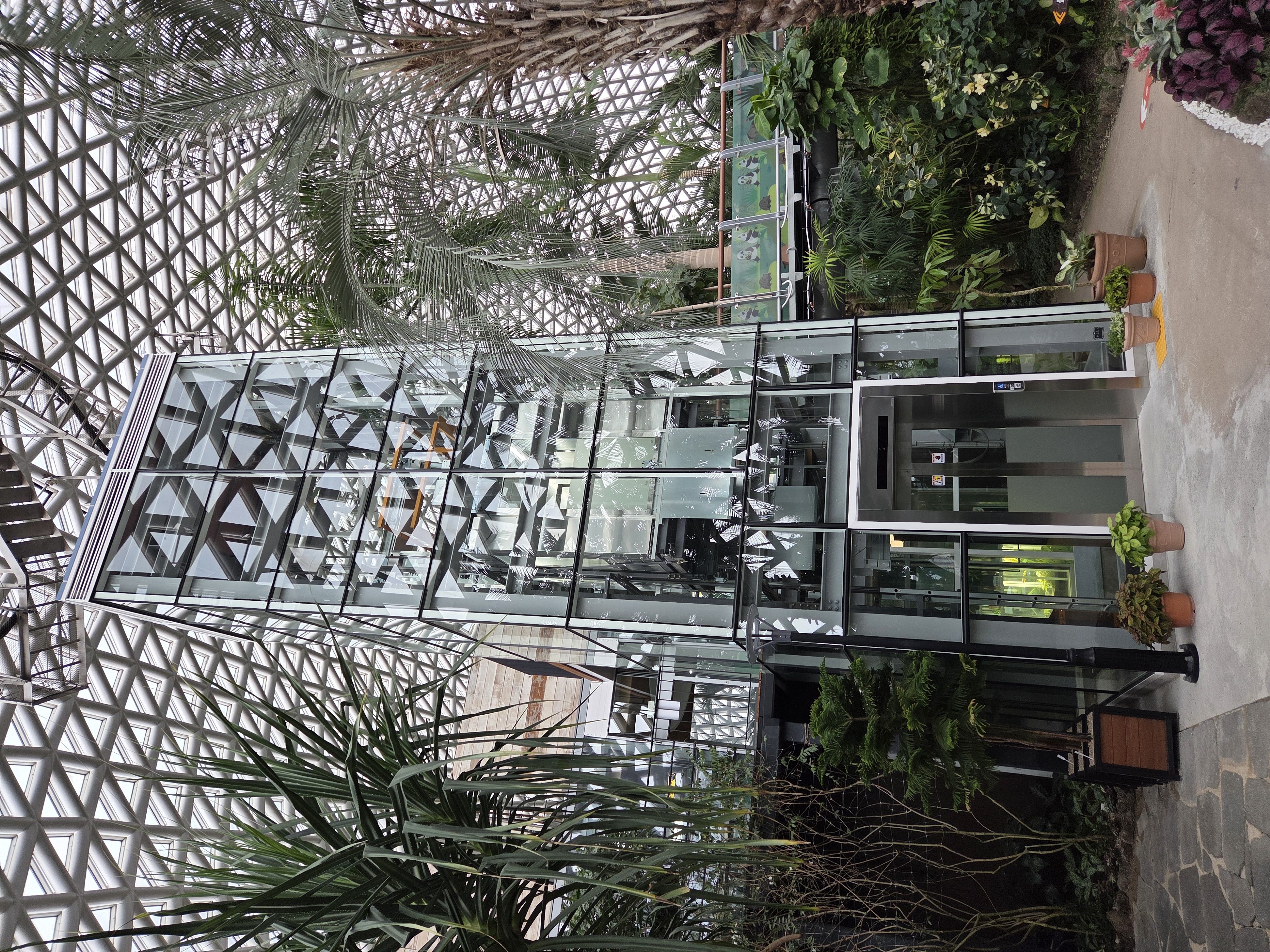 거제식물원, 전망형 승강기 2기 설치 완료 현장