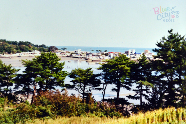 생활풍경(남부면 다대항)