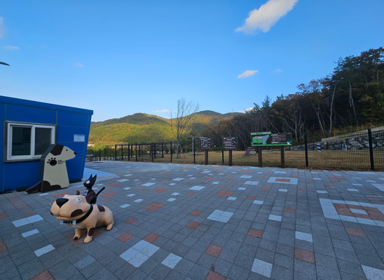 반려견 놀이터사진1
