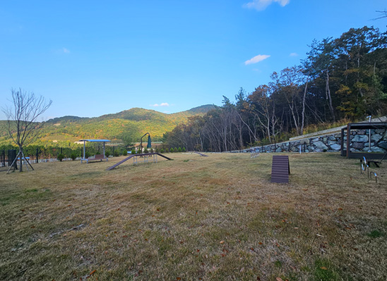 반려견 놀이터사진2