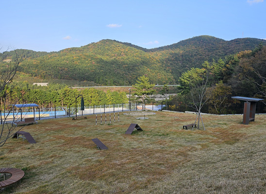 반려견 놀이터사진3